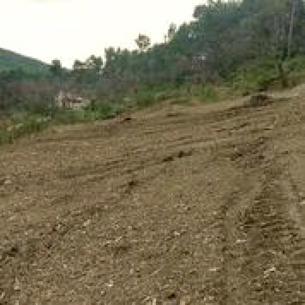 Offres de vente Terrain La Roque-d'Anthéron 13640